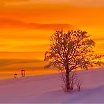 Flora & Fauna (adults Only) Winterberg