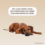 Flora & Fauna (adults Only) Winterberg