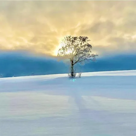 Flora & Fauna (adults Only) 3* Winterberg