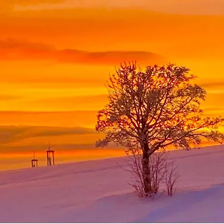 Flora & Fauna (adults Only) Winterberg