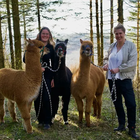 Hotel Flora & Fauna (adults Only) Winterberg