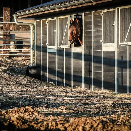 Flora & Fauna (adults Only) Winterberg