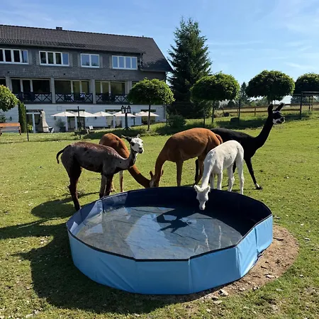 Szálloda Flora & Fauna (adults Only) 3*