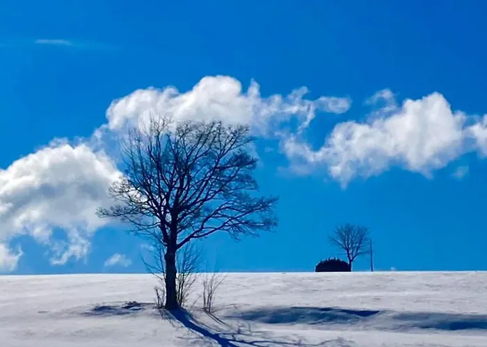 Flora & Fauna (adults Only) Szálloda 3*