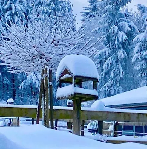 Flora & Fauna (adults Only) Szálloda