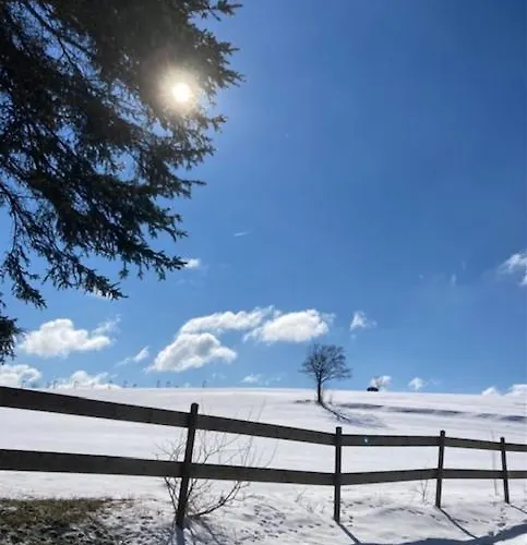 Hotell Flora & Fauna (adults Only) 3*