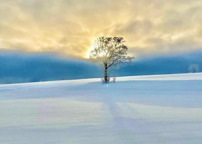 Flora & Fauna (adults Only) 3* Winterberg