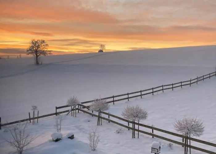 Flora & Fauna (adults Only) Winterberg