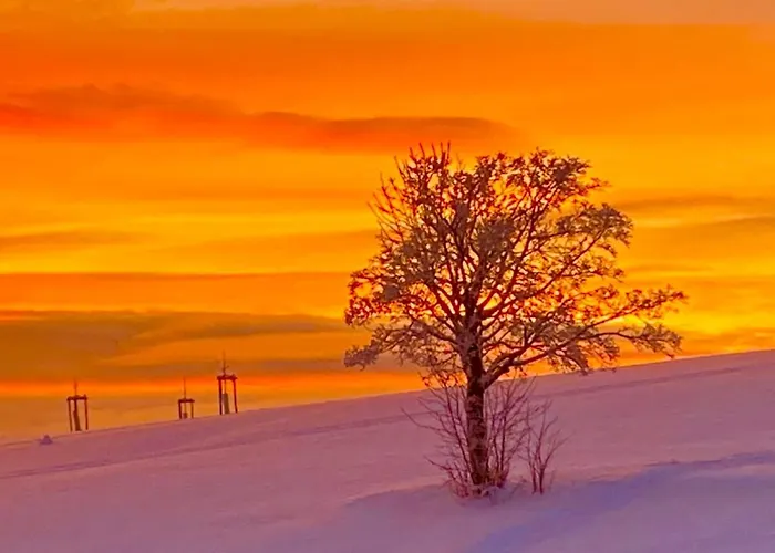 Flora & Fauna (adults Only) Winterberg