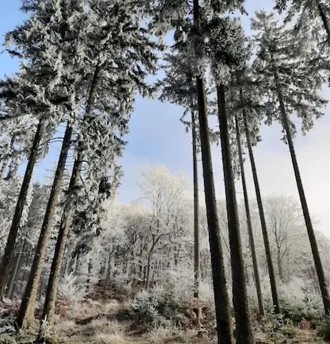 Otel Flora & Fauna (adults Only)