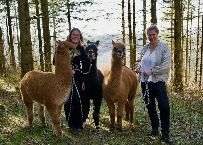 Hotel Flora & Fauna (adults Only) Winterberg