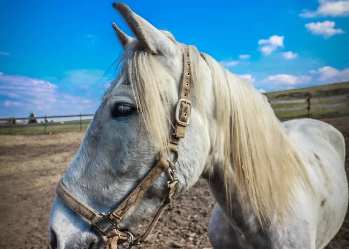 Szálloda Flora & Fauna (adults Only)