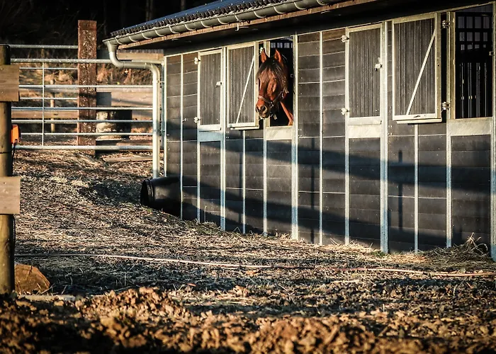 Flora & Fauna (adults Only) Winterberg