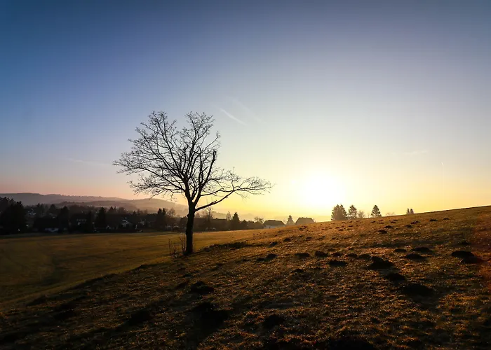 Flora & Fauna (adults Only) 酒店