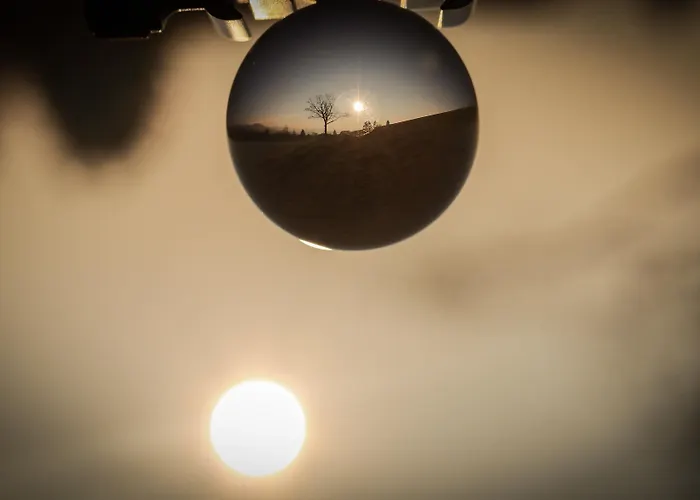 酒店 Flora & Fauna (adults Only) 3*